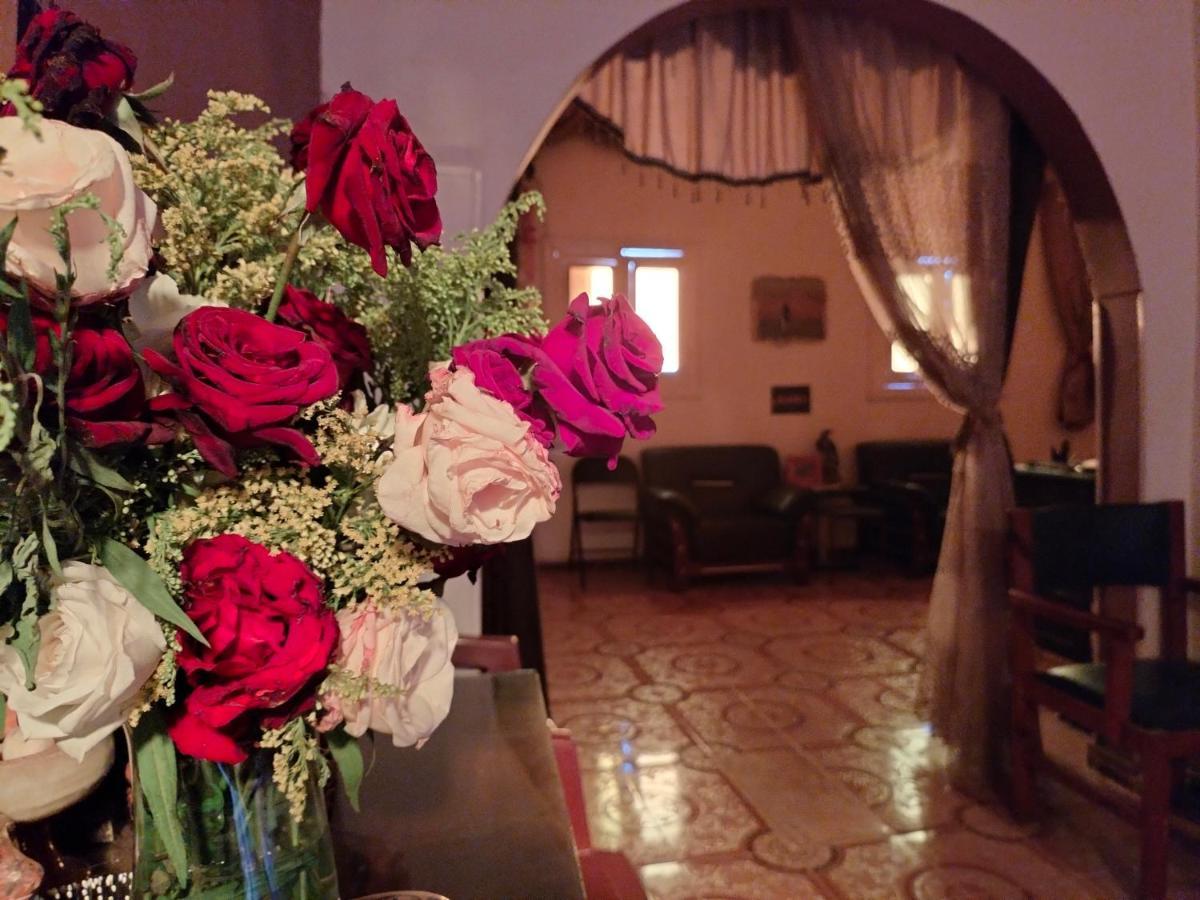 Safari Abu Simbel Hotel Bagian luar foto